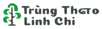 Đông Trùng Hạ Thảo Linh Chi